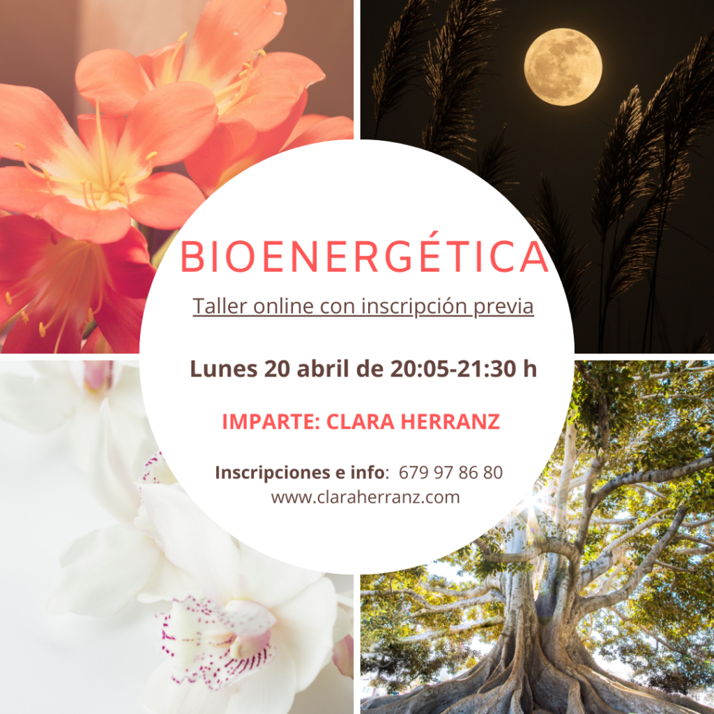 Bioenergética online 20 abril